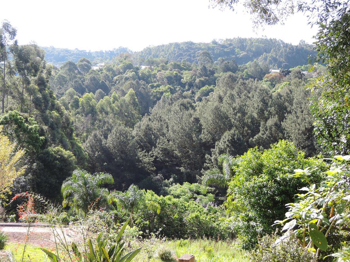 Pousada Da Baronesa Nova Petropolis Kültér fotó